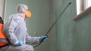 Mold Remediation for Vacation Homes in Berlin, MD